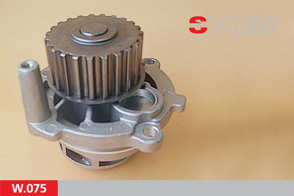 STATIM W.075: Wasserpumpe Zähnez.: 23