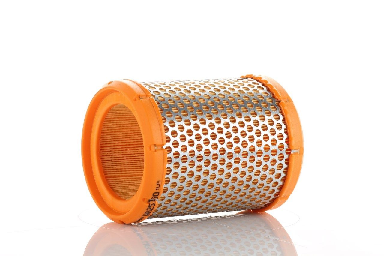 PZL Filters WA25150: Filtro aria