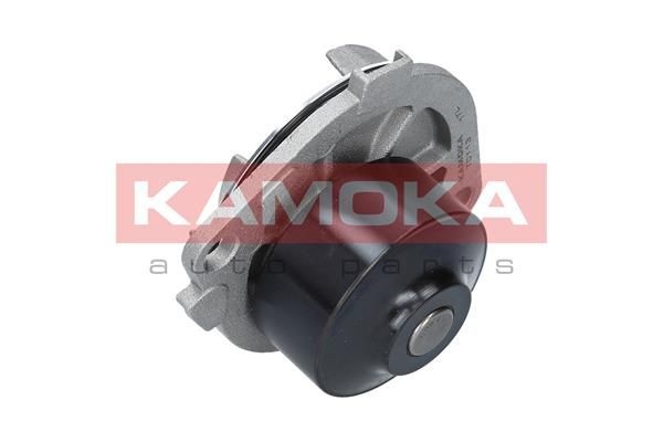 KAMOKA T0113: Bomba de água com retentor