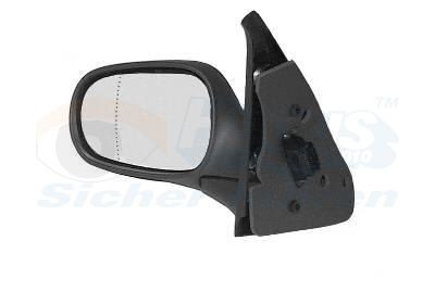 VAN WEZEL 4339808: Εξωτερικός καθρέπτης * HAGUS * δεξιά