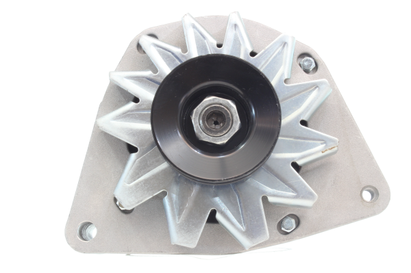 ALANKO 11442066: Generaator 50A