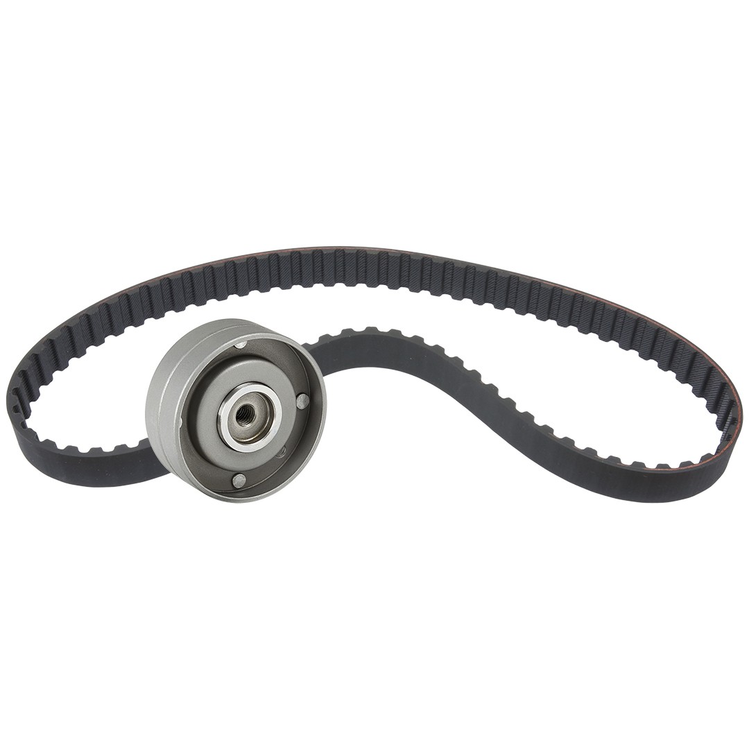 RIDEX 307T0217: Kit de correa de distribución usable en vehículos con corriente de carga de alternador: 119