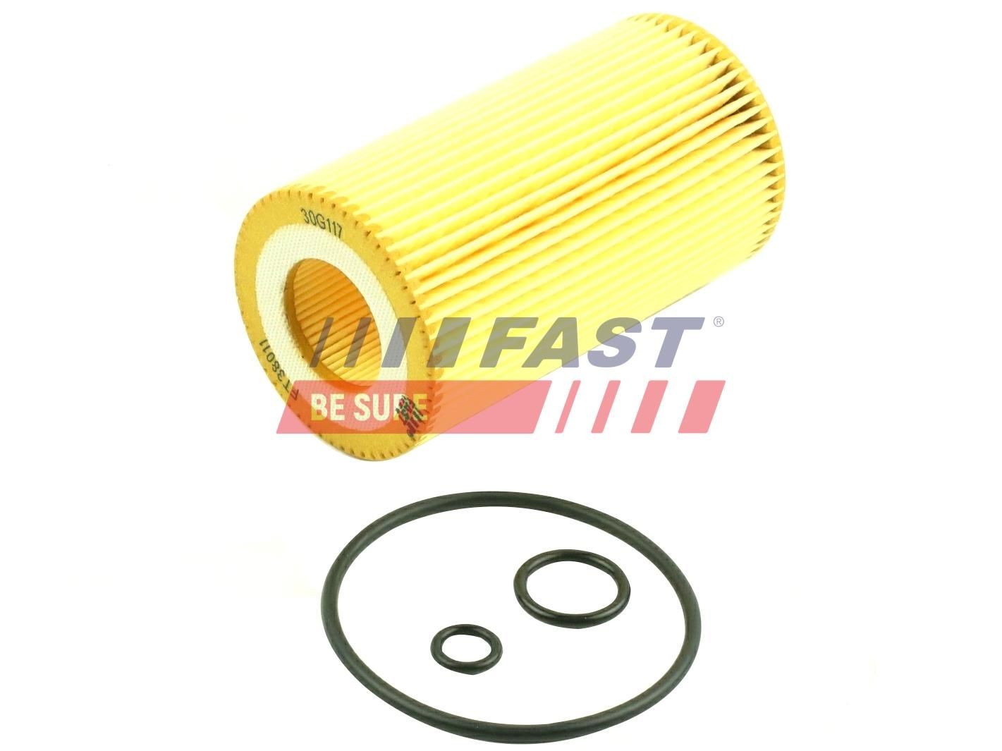 FAST FT38011 Ölfilter mit Dichtung