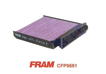 FRAM CFP9691: Interieurfilter Fijnstoffilter (PM 2.5)