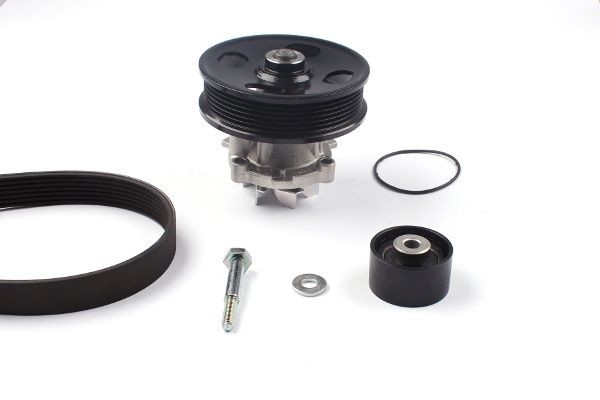HEPU PK03234: Waterpomp + Multi V-riemset