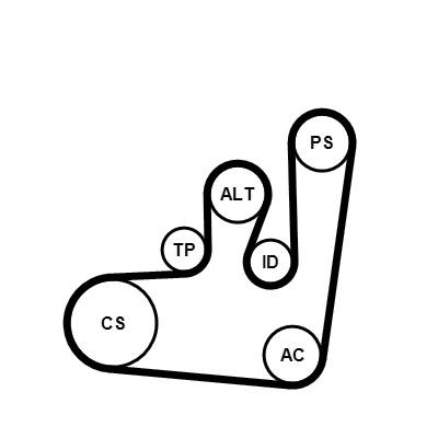 CONTITECH 6PK1145WP1: Bomba de água + kit da correia de distribuição com junta, sem tampa
