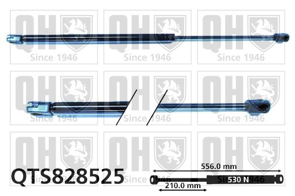 QUINTON HAZELL QTS828525 Heckklappendämpfer 556mm