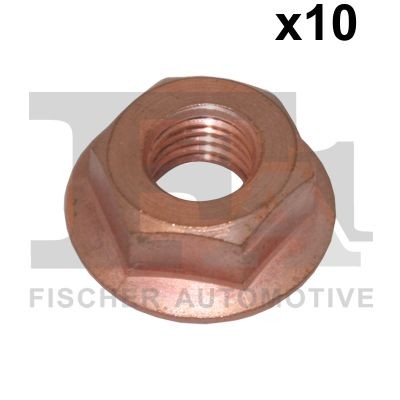 FA1 988-1024.10: Veržlė