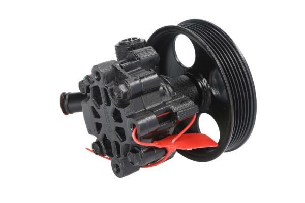 LAUBER 55.6242: Servopumpe