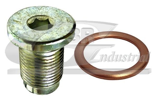 3RG 83528: Reparatieset, oliepan