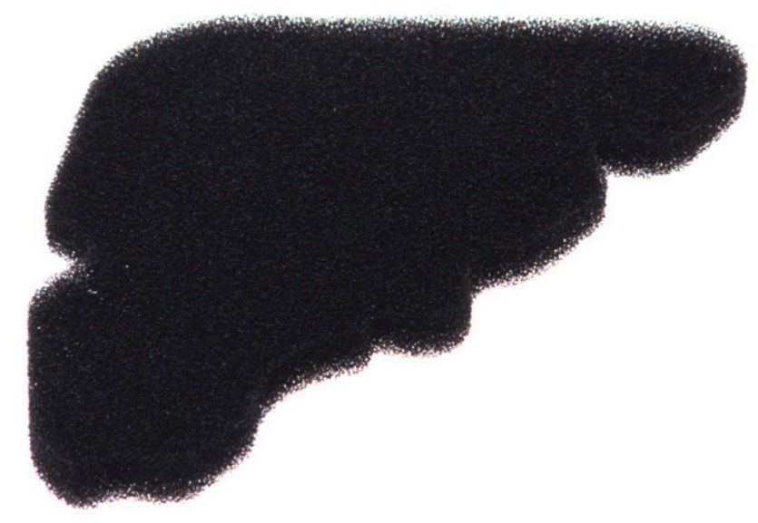 VICMA 9209: Luftfilter