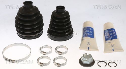 TRISCAN 8540 16710: Asmanchetten set Thermoplastic
