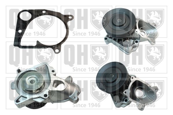 QUINTON HAZELL QCP3603: Vízszivattyú tömítésekkel