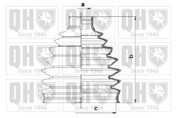 QUINTON HAZELL QJB1057: Asmanchetten set Thermoplastic