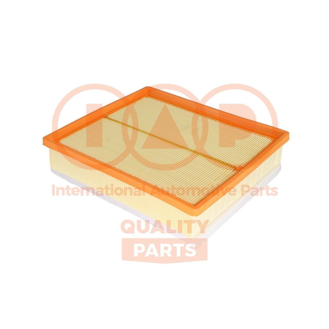 IAP QUALITY PARTS 121-13161: Gaisa filtrs