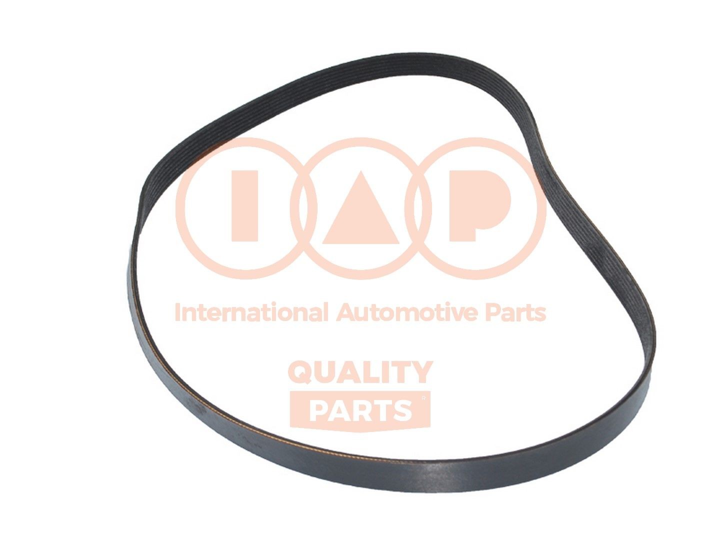 IAP QUALITY PARTS 140-14033: Correia trapezoidal estriada 1595mm, Número de nervuras: 7