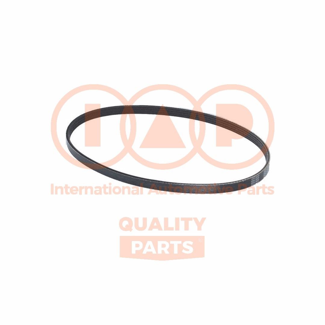 IAP QUALITY PARTS 140-16050: Ozubený klínový řemen 812mm, Počet žeber: 4