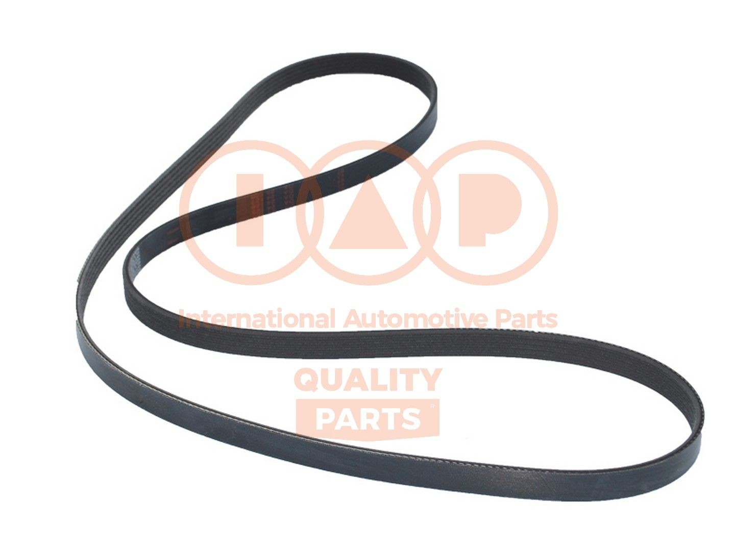 IAP QUALITY PARTS 140-18070: Multiriem 1697mm, Ribbenaantal: 5