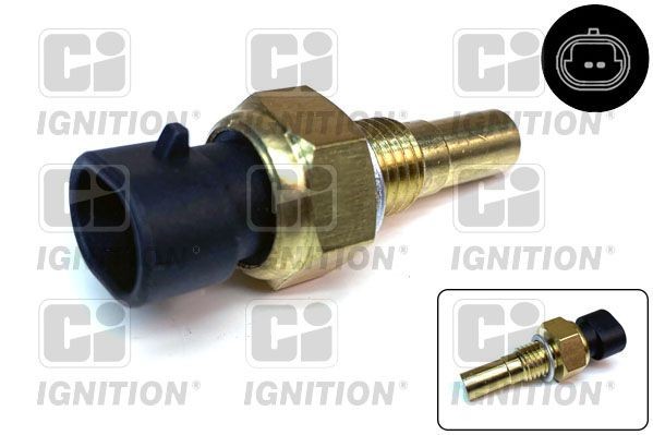 QUINTON HAZELL XEMS66: Kühlmitteltemperatursensor ohne Kabel, CI