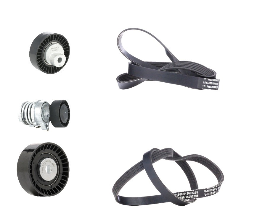 RIDEX 542R0349: Poly V-riem set