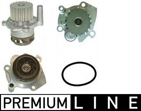 MAHLE CP 6 000P: Vandpumpe