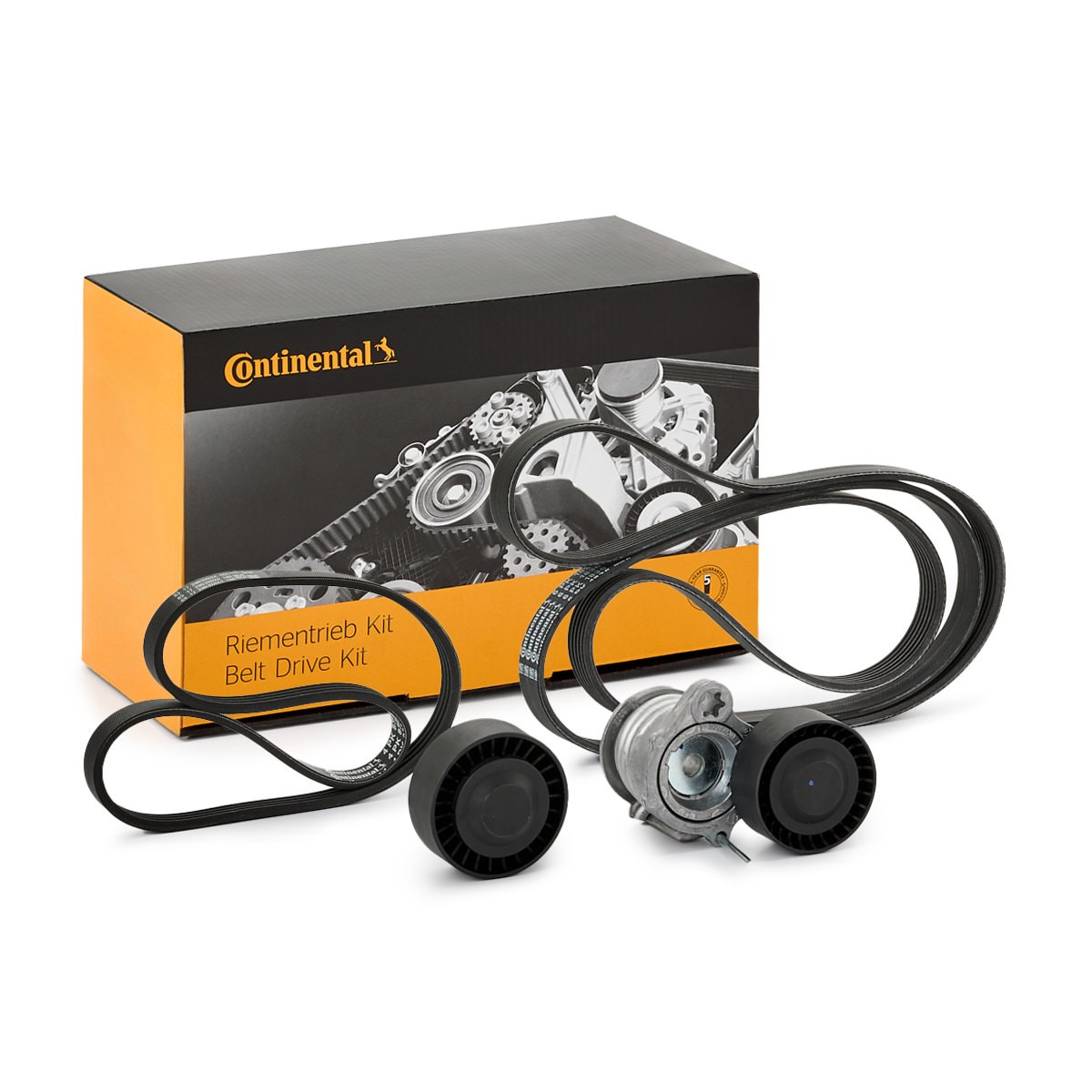 CONTITECH 6PK1836K1: Jogo de correias trapezoidais estriadas