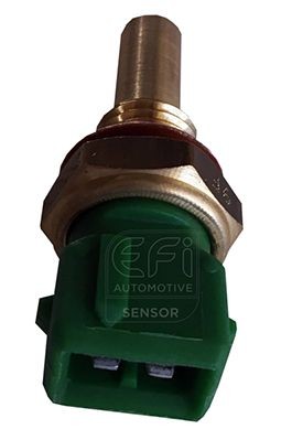 EFI AUTOMOTIVE 295076: Senzor, temperatura lichid de racire EFI - SENSOR