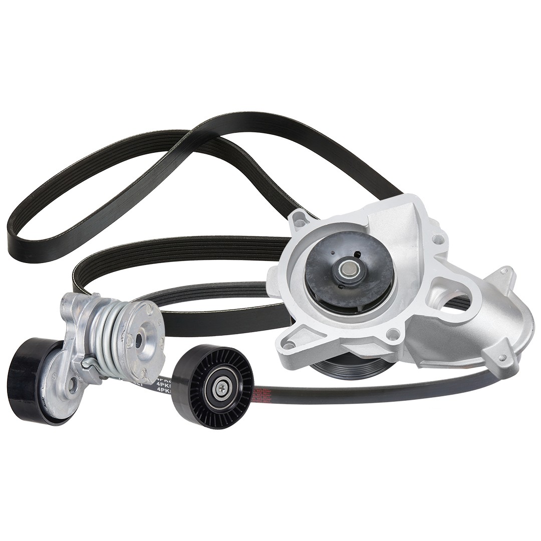 RIDEX 4172P0042: Waterpomp + Multi V-riemset Met waterpomp
