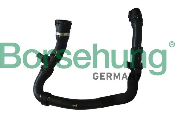 Borsehung B11960: Furtun radiator