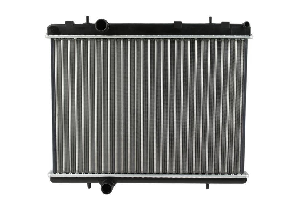 FAST FT55557: Radiateur du moteur