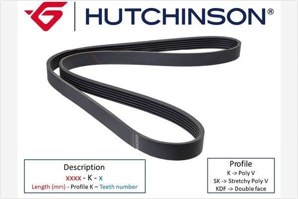 HUTCHINSON 2055 K 7: Correia trapezoidal estriada Poly-V 2055mm, Número de nervuras: 7
