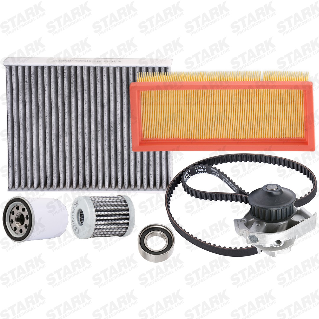 STARK SKPSM-4570404: Kit tagliando