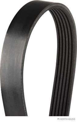 HERTH+BUSS JAKOPARTS J1060890: Correia trapezoidal estriada 890mm, Número de nervuras: 6