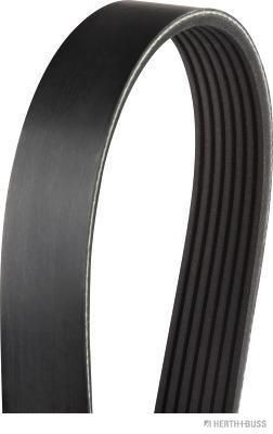 HERTH+BUSS JAKOPARTS J1071103: Correia trapezoidal estriada 1103mm, Número de nervuras: 7
