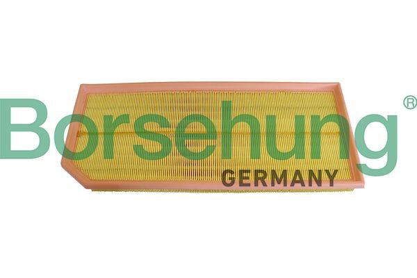 Borsehung B10543: Gaisa filtrs