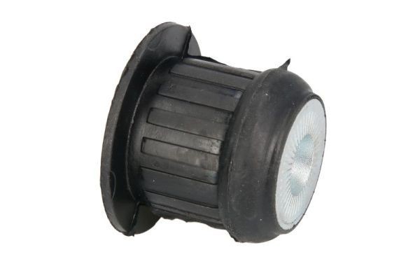 REINHOCH RH19-0002 Halter, Motoraufhängung vorne