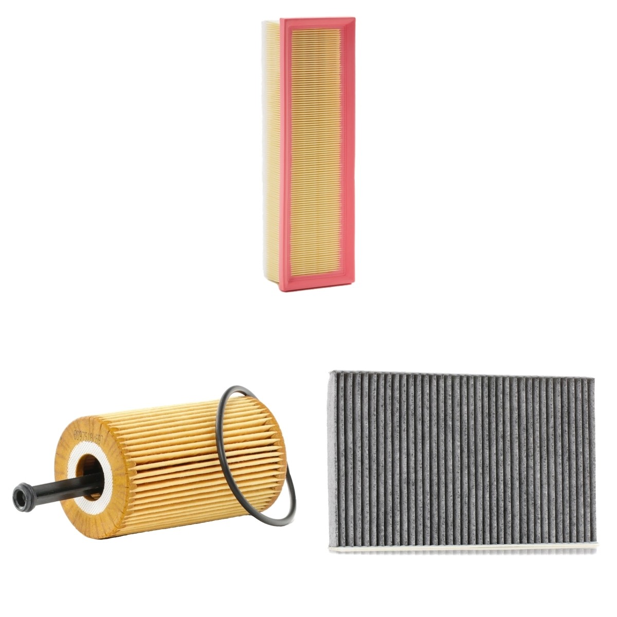 RIDEX 4055F3666: Filterset