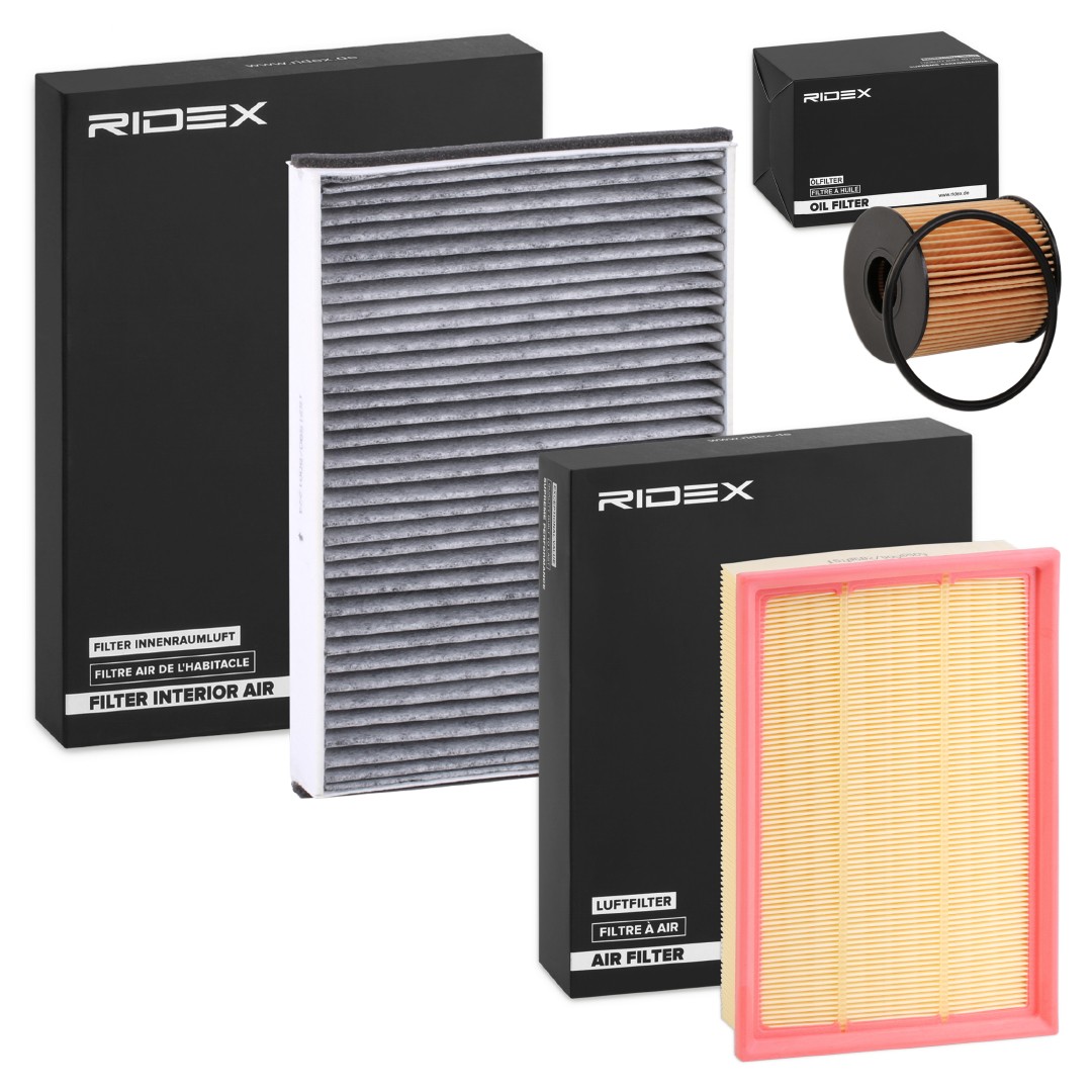 RIDEX 4055F19813: Filterset