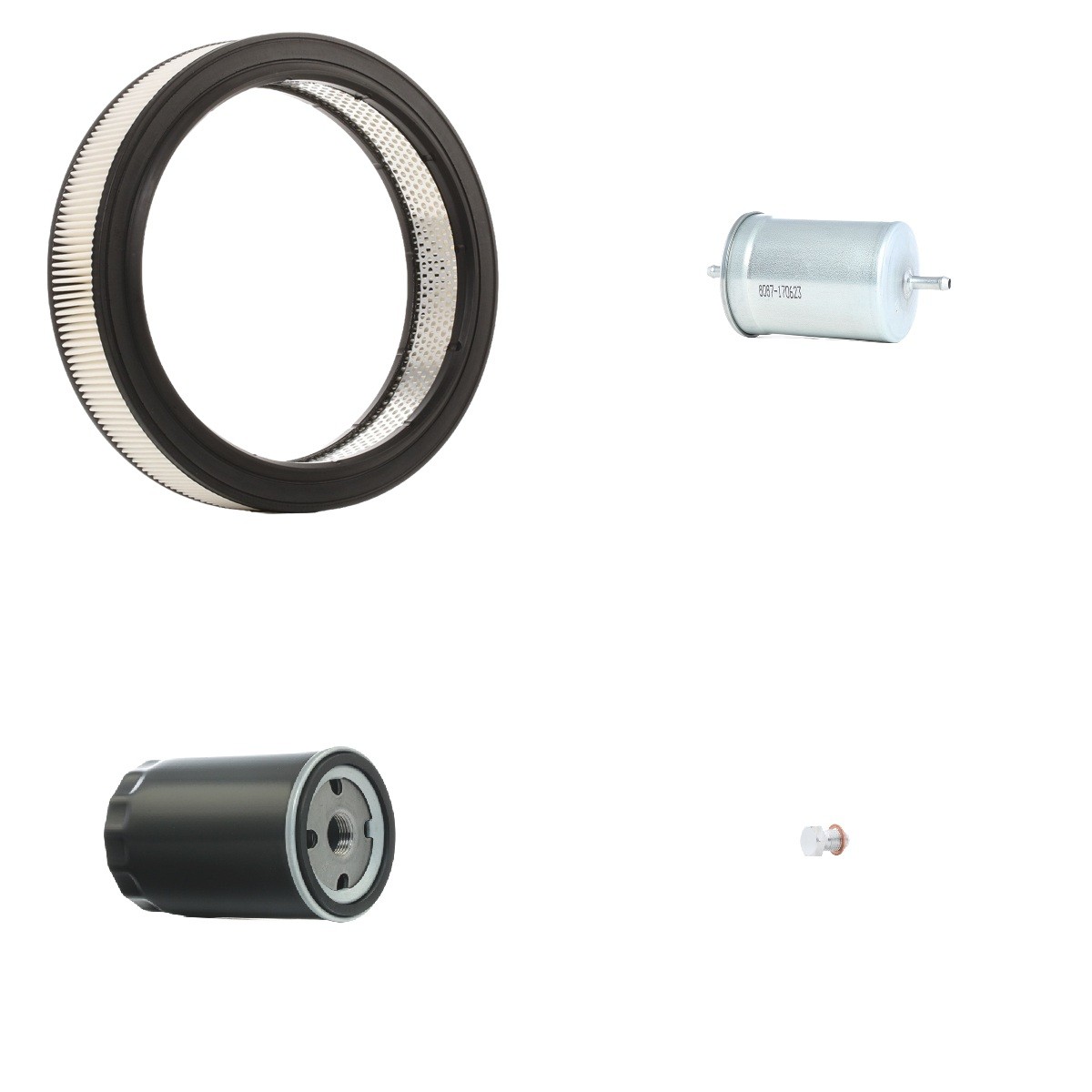 RIDEX 4055F23784: Filterset