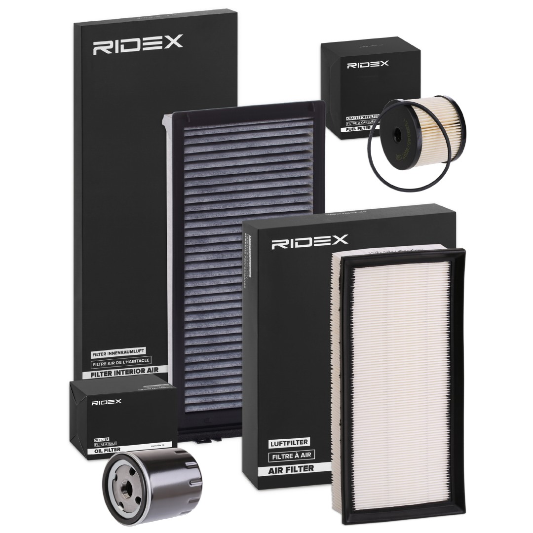 RIDEX 4055F25168: Filtrs-Komplekts