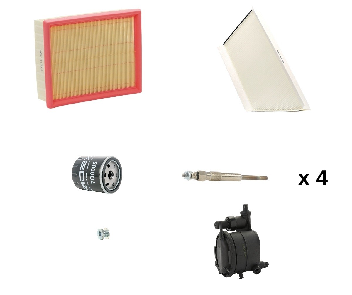 RIDEX 4682P9624: Inspektionspaket