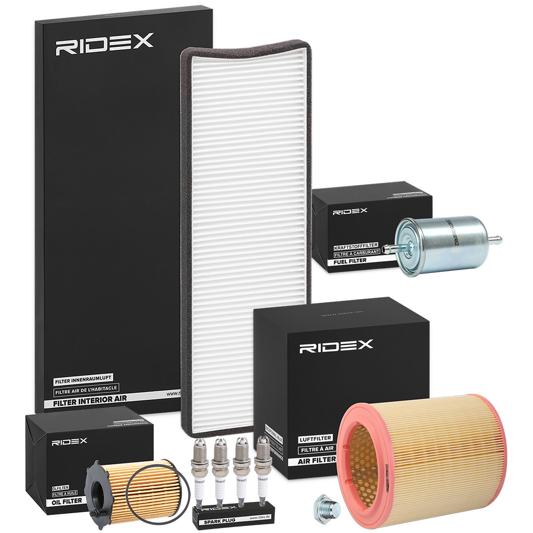 RIDEX 4682P12096: Inspektionspaket