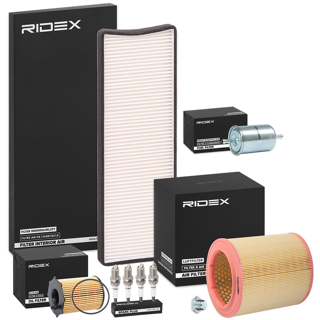 RIDEX 4682P12099: Inspektionspaket