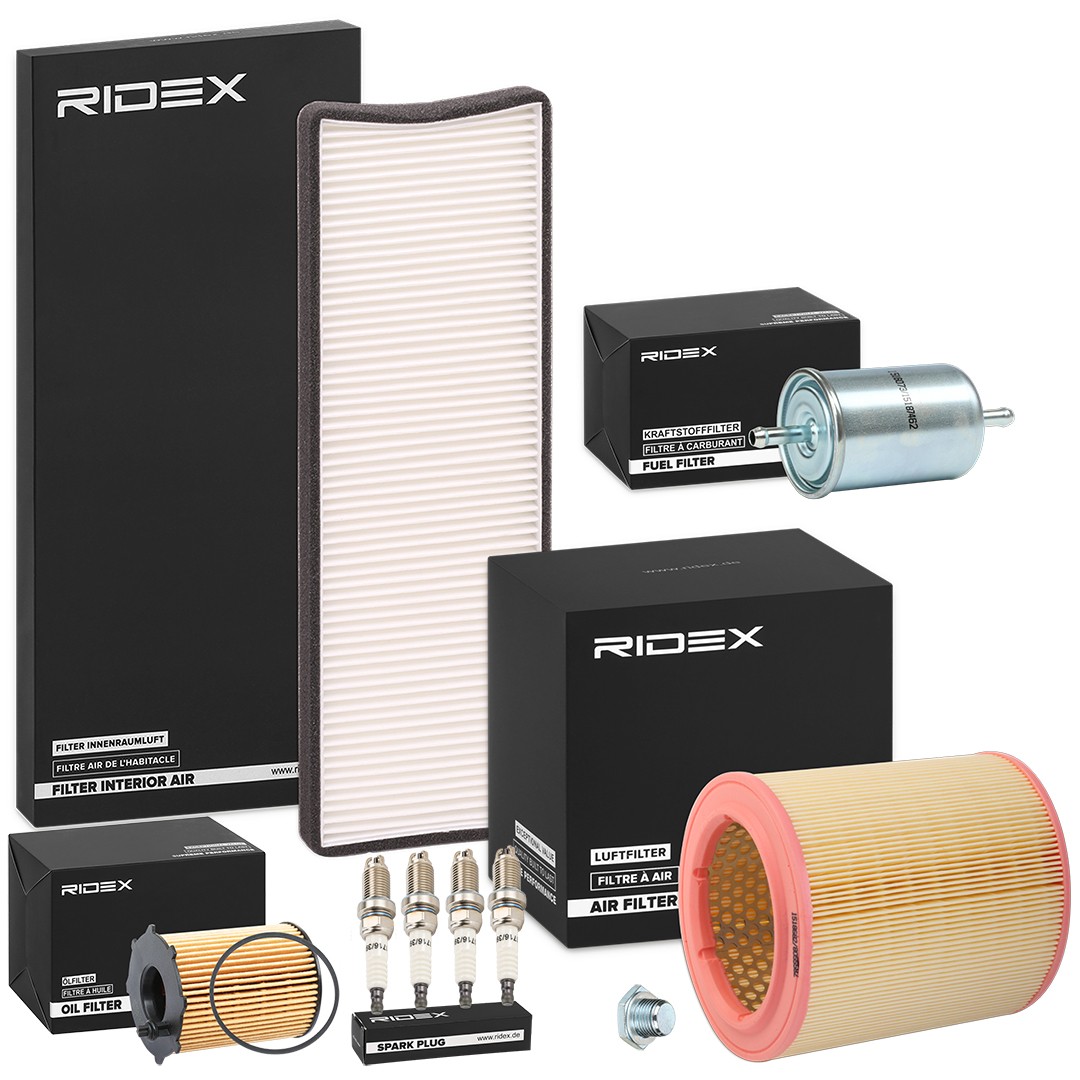 RIDEX 4682P12100: Inspektionspaket