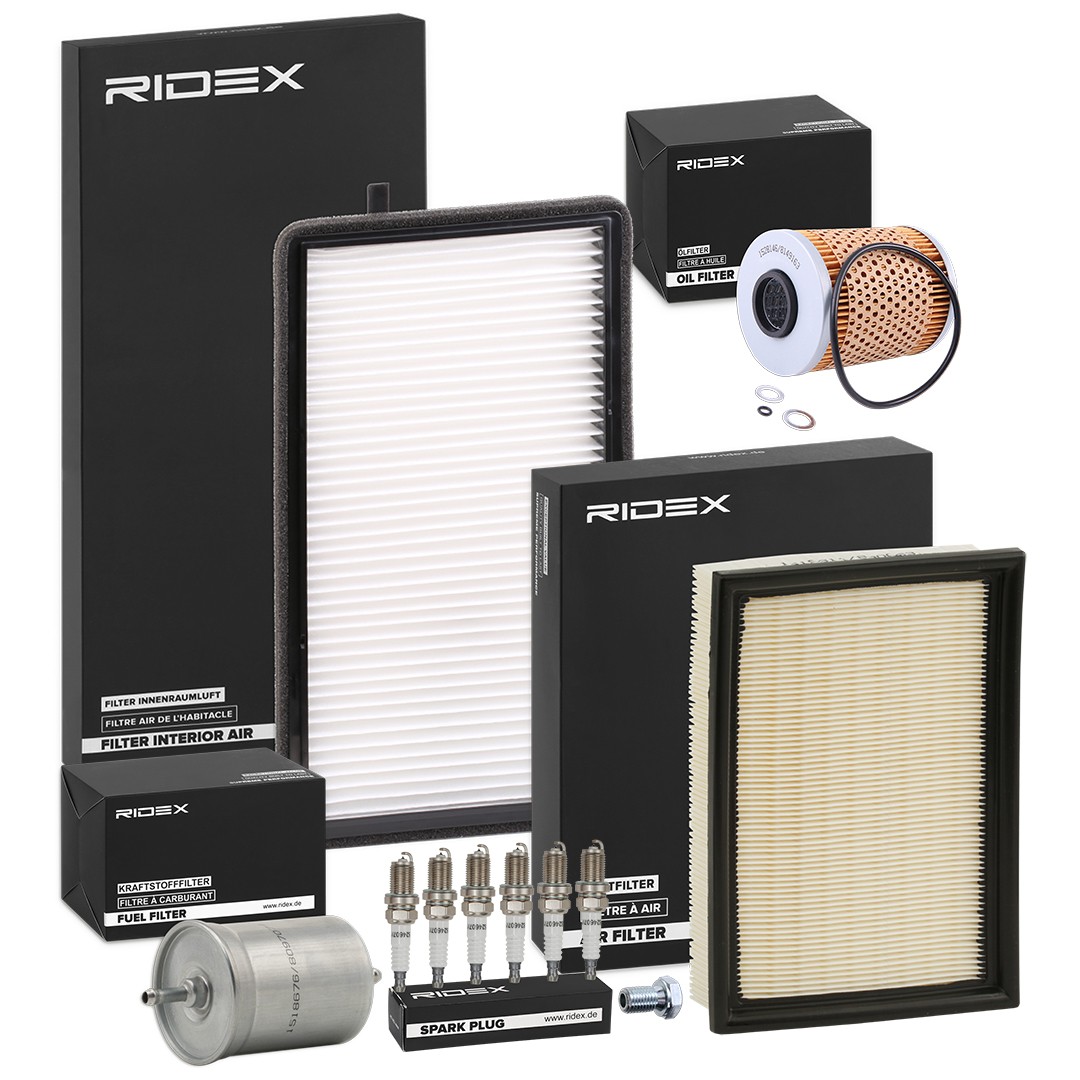 RIDEX 4682P17687: Inspektionspaket