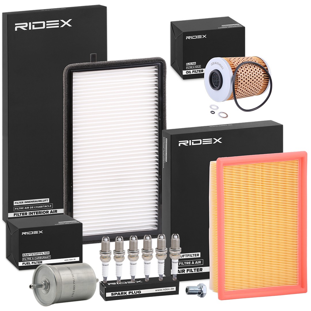 RIDEX 4682P17781: Inspektionspaket