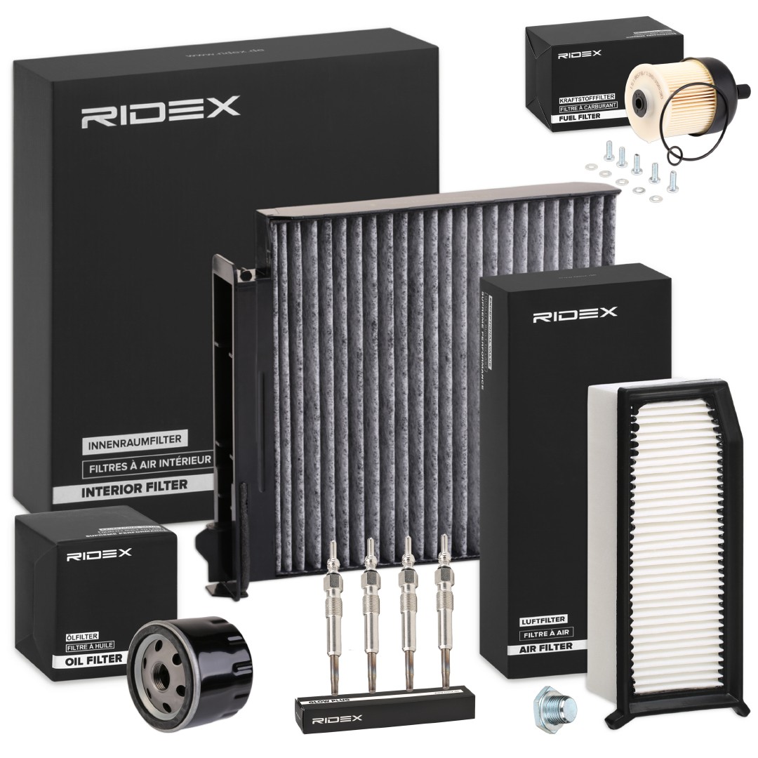 RIDEX 4682P20080: Inspektionspaket