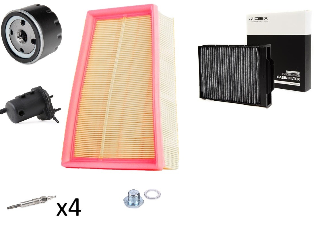 RIDEX 4682P21372: Inspektionspaket