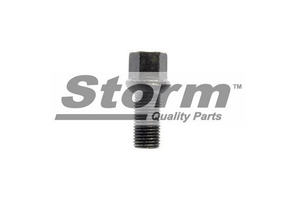 STORM QUALITY PARTS F2639: Pyöränruuvi 48mm, 17