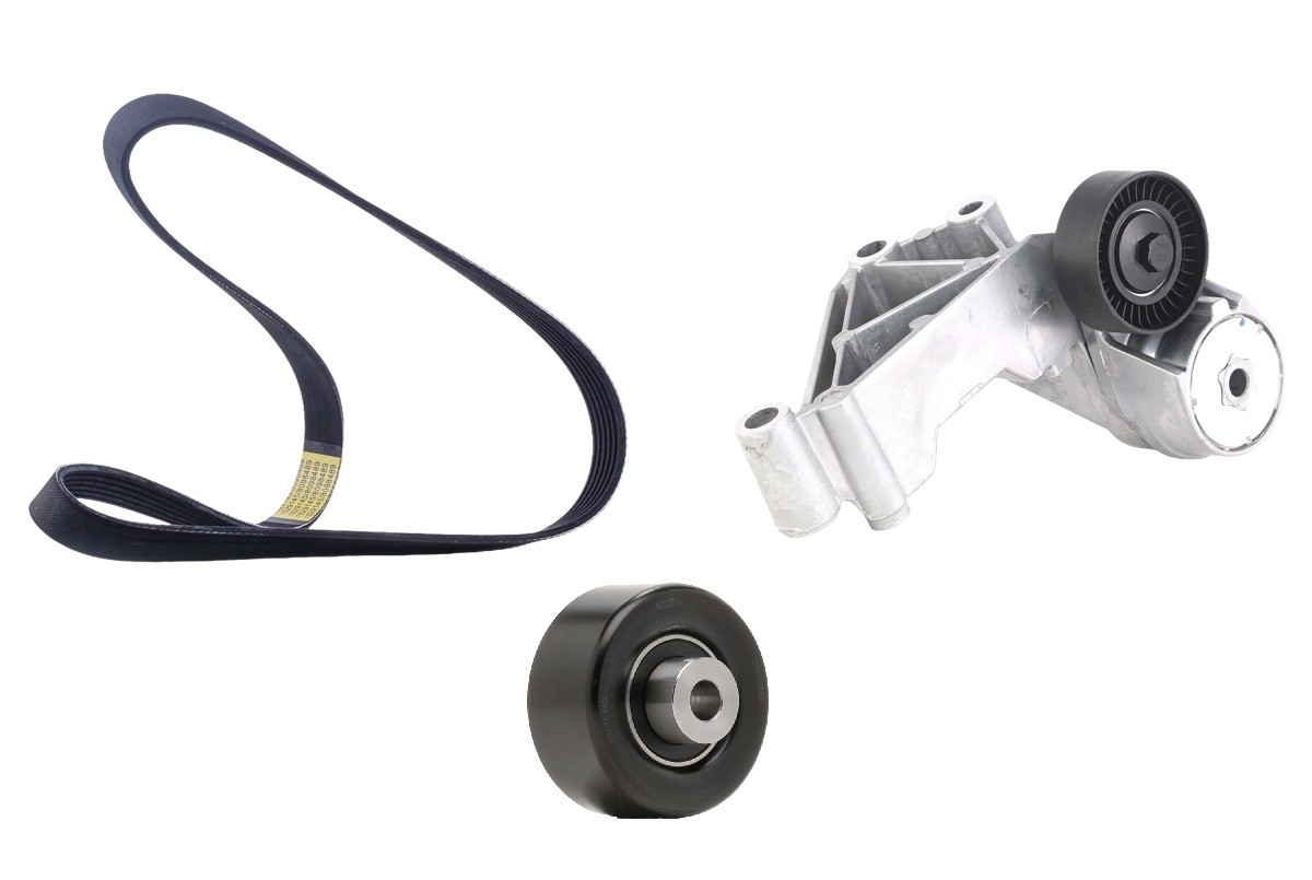 RIDEX 542R0801: Poly V-riem set
